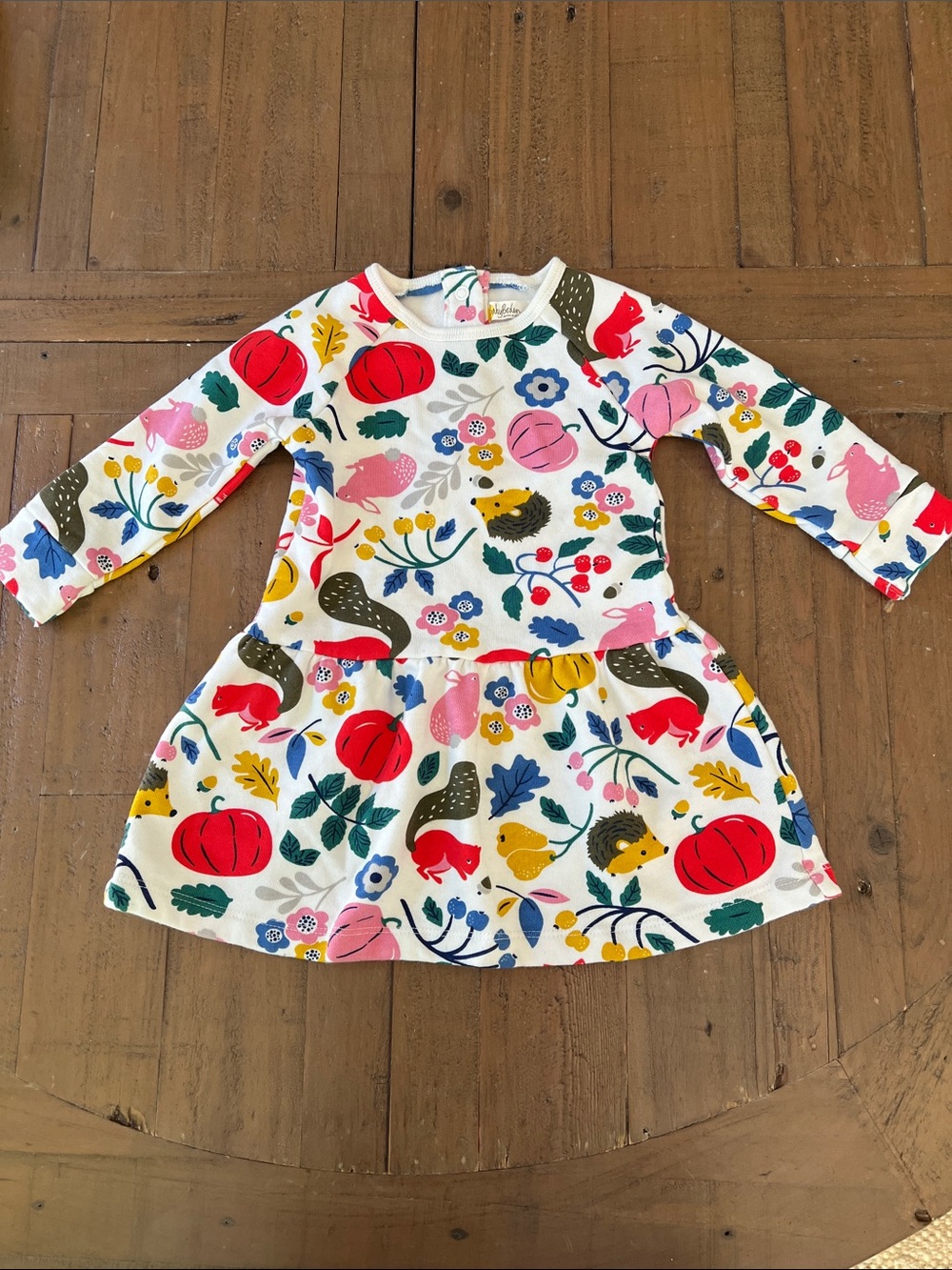 Mini Boden hedgehog pumpkin sweatshirt dress 6-9 months